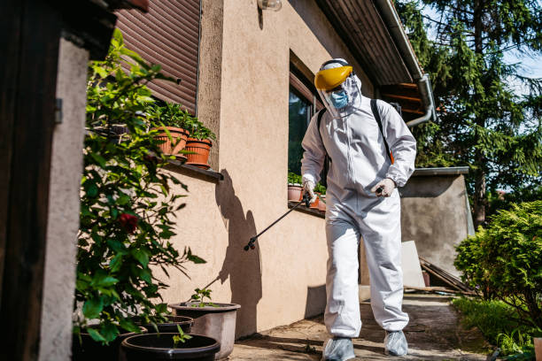 Best Best Pest Control Companies  in Level Park Oak Park, MI