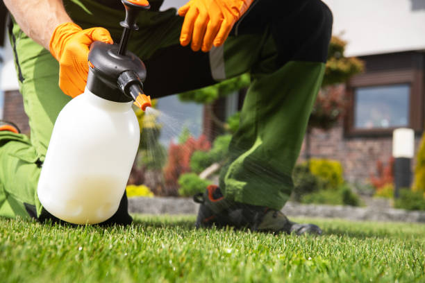 Best Wildlife Control Services  in Level Park Oak Park, MI