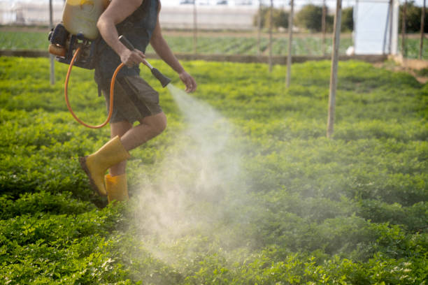 Best Commercial Pest Control Services  in Level Park Oak Park, MI