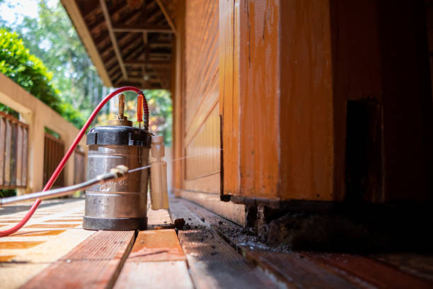 Best Pest Removal Services  in Level Park Oak Park, MI