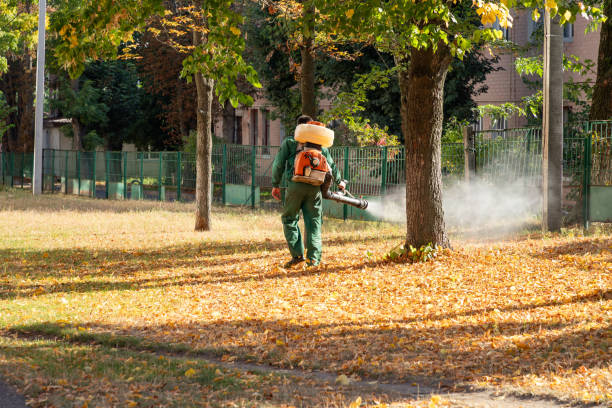 Best Best Pest Control Companies  in Level Park Oak Park, MI