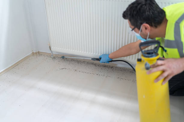 Best Emergency Pest Control  in Level Park Oak Park, MI
