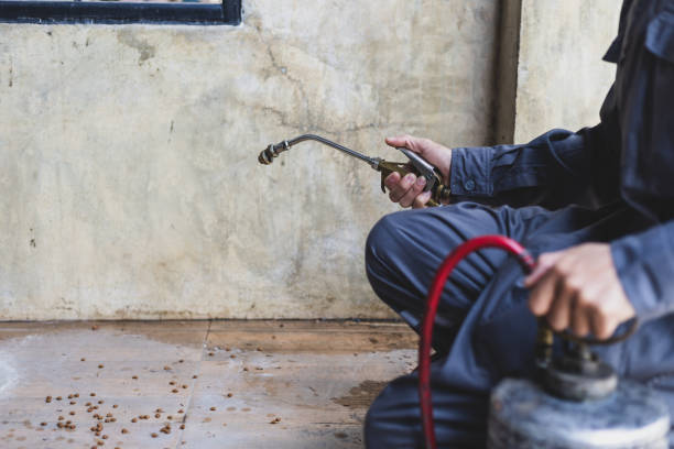 Best Mosquito Control Services  in Level Park Oak Park, MI